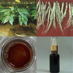 Ginseng Root Oil