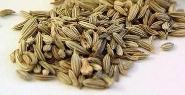 Fennel seeds, Storage : Cool & Dry Place