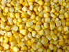 Iqf Sweet Corn Kernels, Packaging Type : yellow