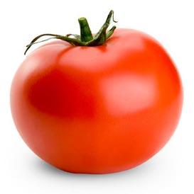 Fresh tomato, Type : Vegetable