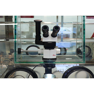 Plain Glove Box With Microscope, Technics : Handmade for Lab Use