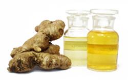 Ginger Oil