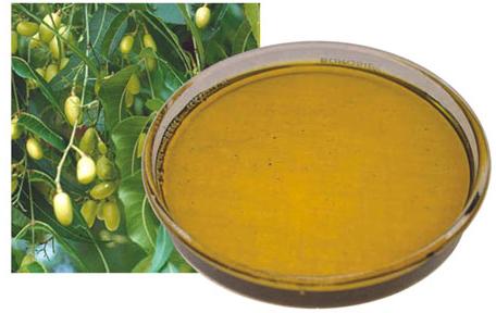 Neem Oil