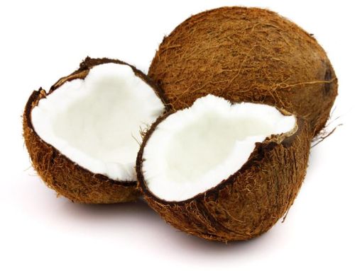 Fresh Coconut