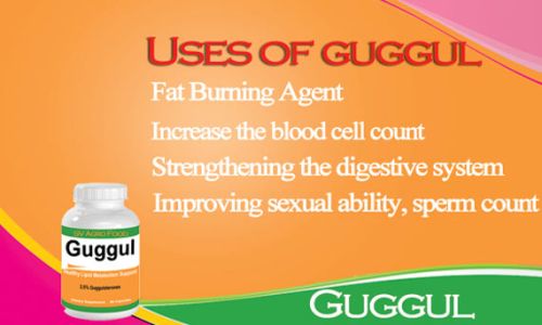 Benifits Of Guggul Extract Capsule