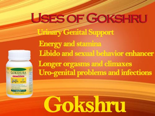 Benifits Of Tribulus Extract Capsule