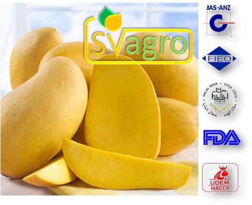 SVA Fresh Mangoes