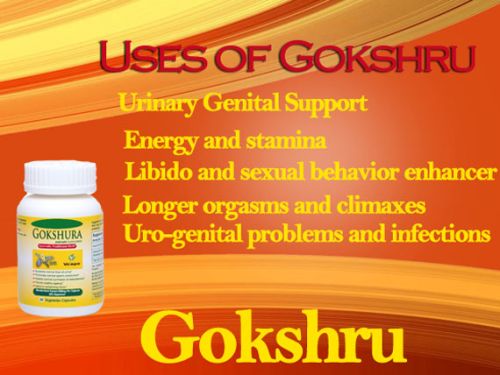 Herbal Supplement - Gokhru Tribulus Capsule In India