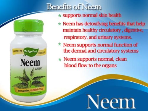 Herbal Supplement, Neem Capsule