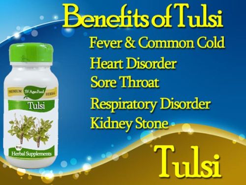 Herbal Supplement, Tulsi Capsule From India