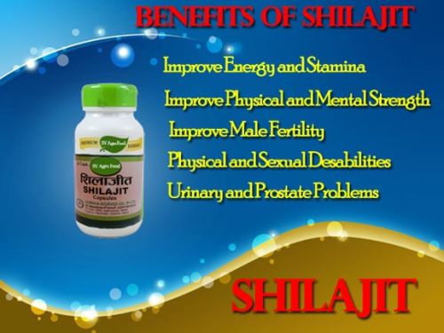 Shilajit Capsule