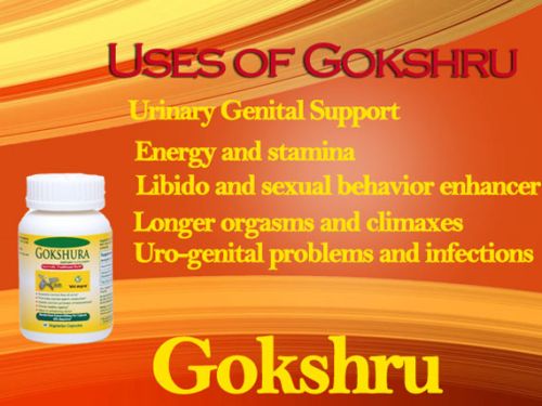 Tribulus Extract Capsule