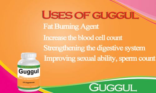 Use Of Guggulu Capsule