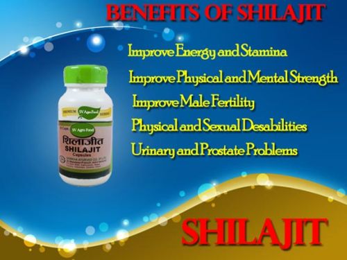 Uses Of Shilajit Capsule