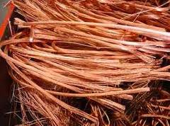 Copper Wire Scraps 99.99%