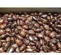 Castor seeds, Moisture : 9%