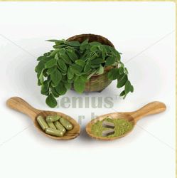 Moringa Tablets and Capsules