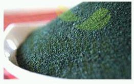 Spirulina powder, Material : Spirulina Algae