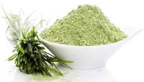 Wheat Grass Powder, Color : Green