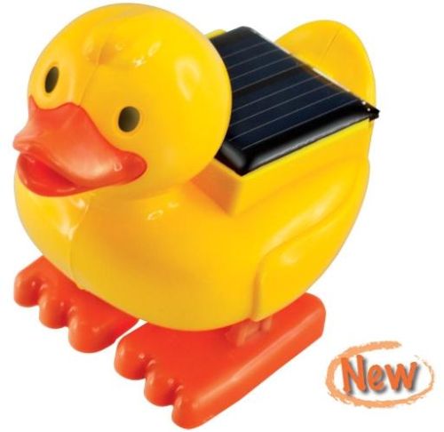 Solar Toys - Diy Solar Duck