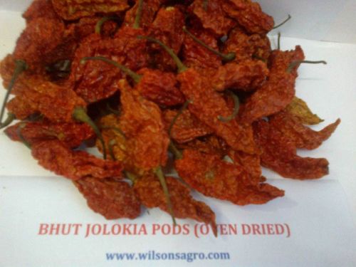 Bhut Jolokia Chilli Pepper