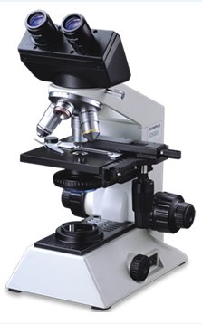 Olympus Microscope