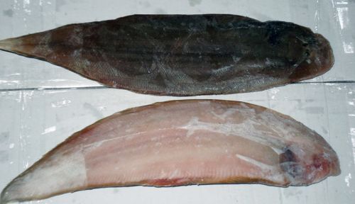 Packer's Brand Tongue Sole Fish
