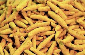 Turmeric finger, Material : Turmeric