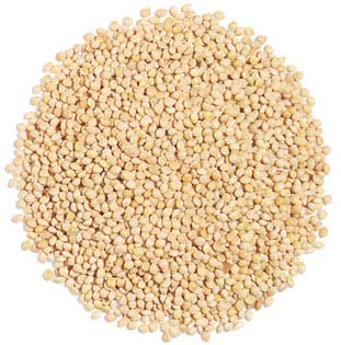 Millet Seeds