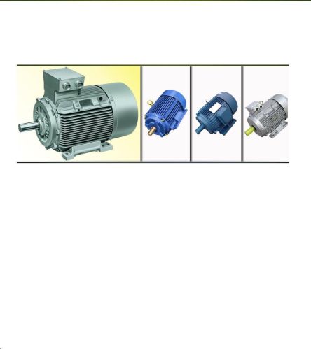 AC Induction Motor