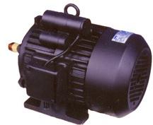 SEEMA Single Phase Electric Motors