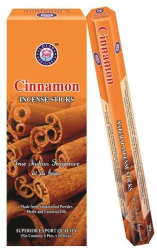 Cinnamon Incense Sticks