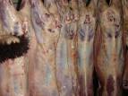 Frozen mutton