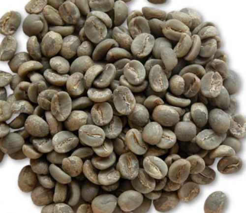 Arabica coffee beans, Flavor : Chocolatey