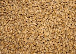 Barley Seeds, Texture : Hard