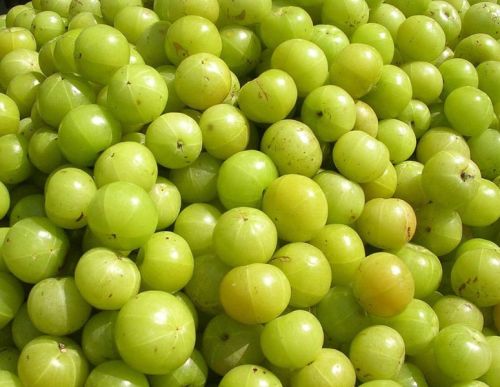 Indian Gooseberry