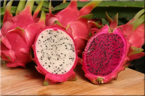 Cinnamon, Supply Type : Manufacturer