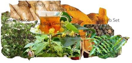 Organic Vermicompost