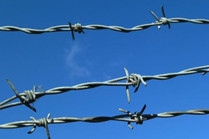Barbed Wire, Elongation : 10 %