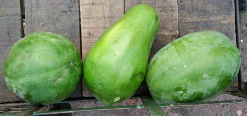 Organic Fresh Papaya, Taste : Sweet