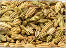 Fennel Seeds