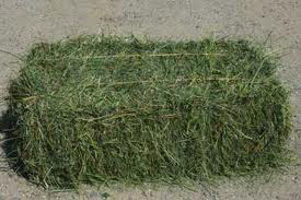 Alfalfa Hay, Shelf Life : 6 Months, 1 Year, 2 Year