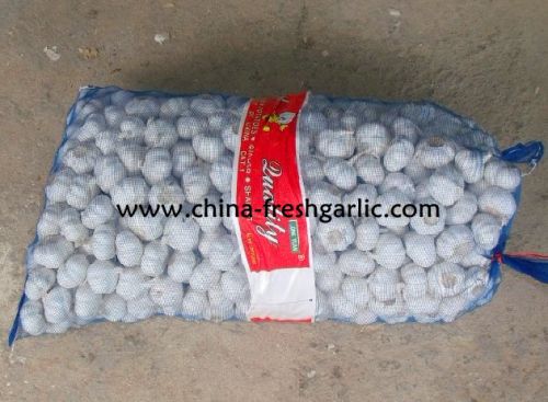 China Garlic, Packaging Type : Red & White