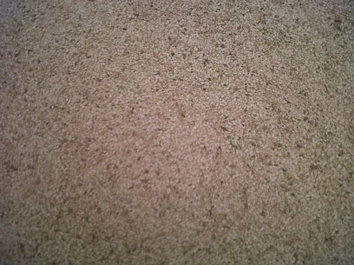 Sesame seeds, Brand Name : Jake-Nasa