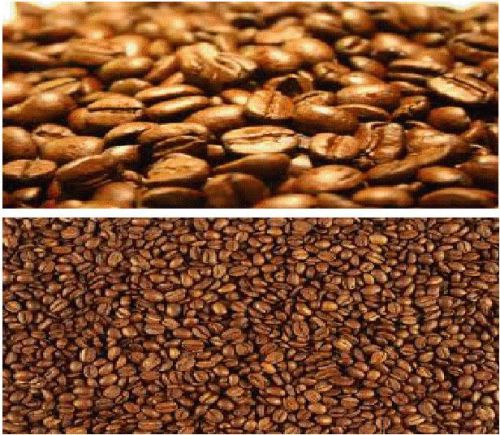 Coffee, Packaging Type : Box