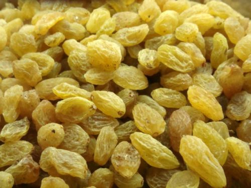 Golden Raisins