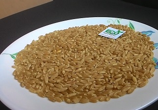 COMMON Wheat, Certificate : QSS HALAL