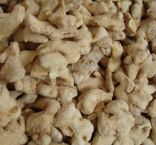 Dry ginger, Purity : 100%