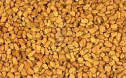 Fenugreek Seeds