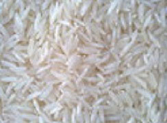 Food Grains